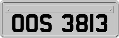 OOS3813