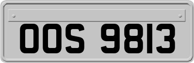 OOS9813