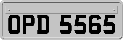 OPD5565