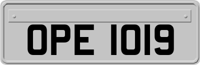 OPE1019