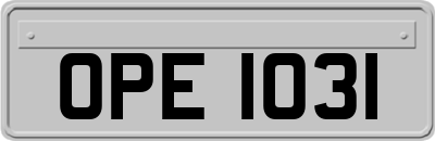 OPE1031