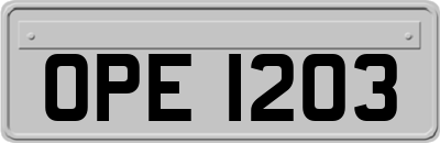 OPE1203