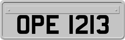 OPE1213