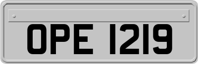 OPE1219