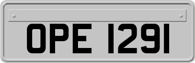 OPE1291