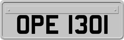 OPE1301