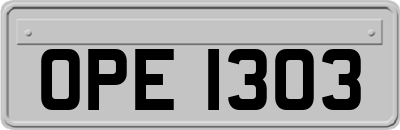 OPE1303