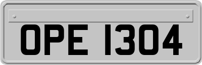 OPE1304