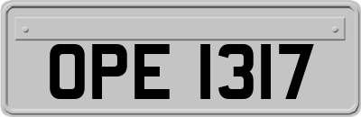 OPE1317