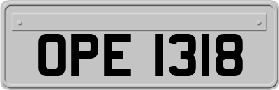 OPE1318