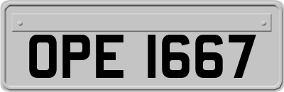 OPE1667