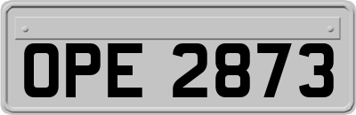 OPE2873