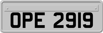 OPE2919