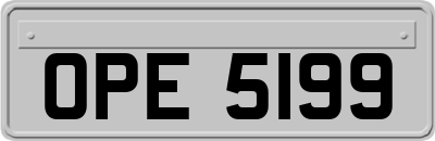 OPE5199
