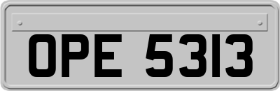 OPE5313