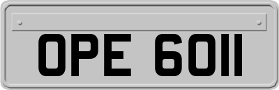 OPE6011