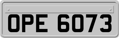 OPE6073