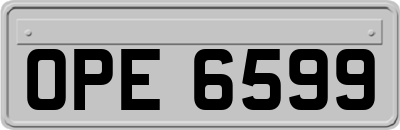 OPE6599