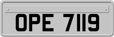 OPE7119