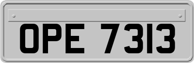 OPE7313