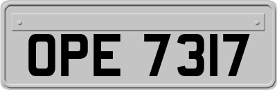 OPE7317