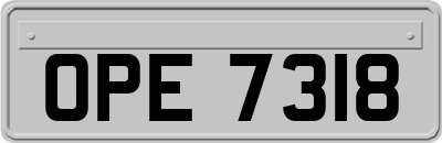 OPE7318