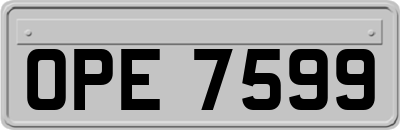 OPE7599
