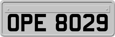 OPE8029