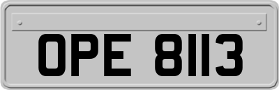OPE8113