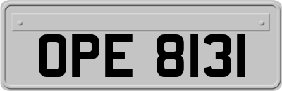 OPE8131