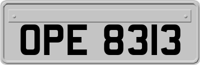 OPE8313