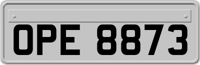 OPE8873