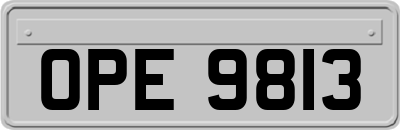 OPE9813