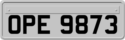 OPE9873