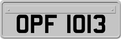 OPF1013