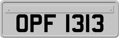 OPF1313