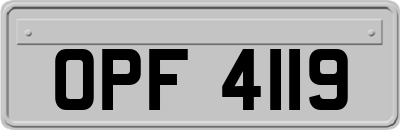 OPF4119