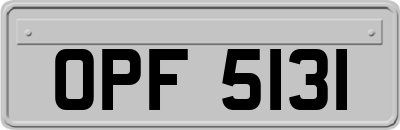 OPF5131