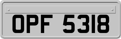 OPF5318