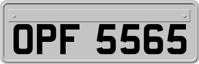 OPF5565