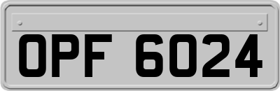 OPF6024
