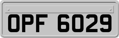 OPF6029