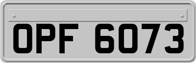 OPF6073