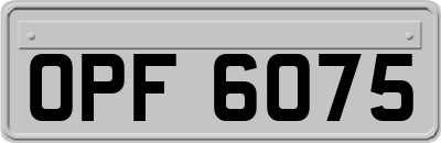 OPF6075