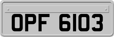 OPF6103