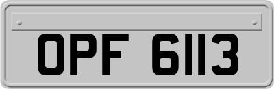 OPF6113