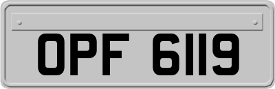 OPF6119