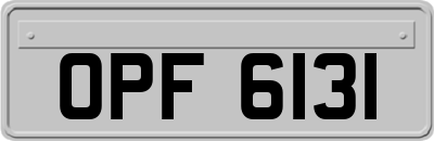 OPF6131
