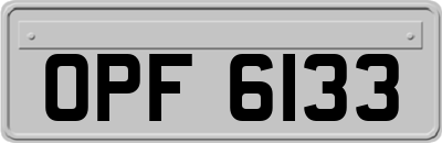 OPF6133