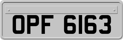 OPF6163